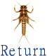 Return to Insect Key