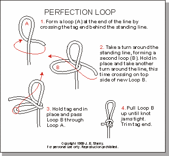 This neat and compact knot forms a loop at the end of a line. It can be tied to result in a very small loop.